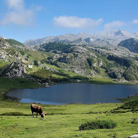 Apartamento Casa Noval zona rural en el centro de Asturias Bimenes Exterior foto