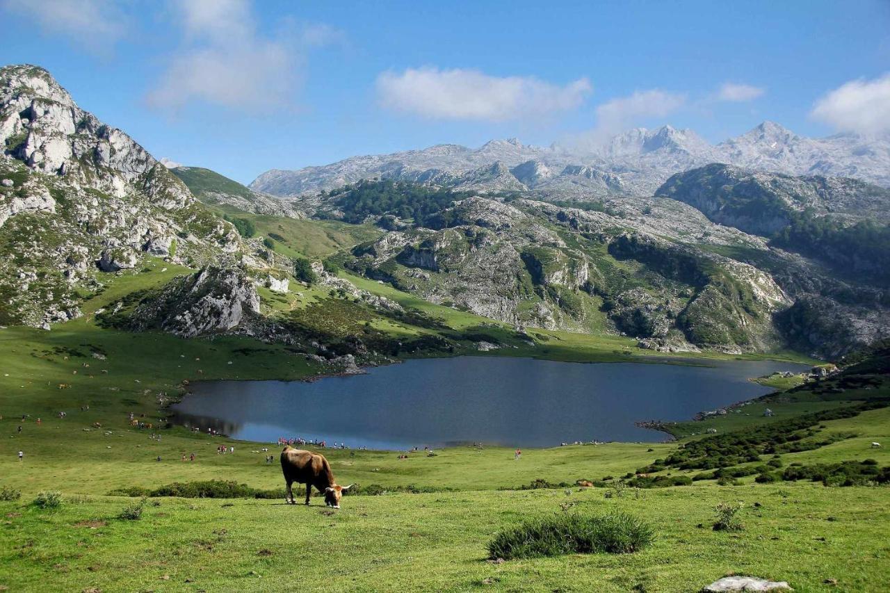 Apartamento Casa Noval zona rural en el centro de Asturias Bimenes Exterior foto