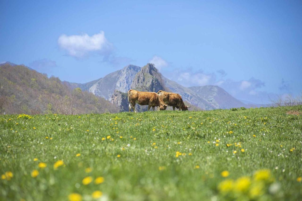 Apartamento Casa Noval zona rural en el centro de Asturias Bimenes Exterior foto